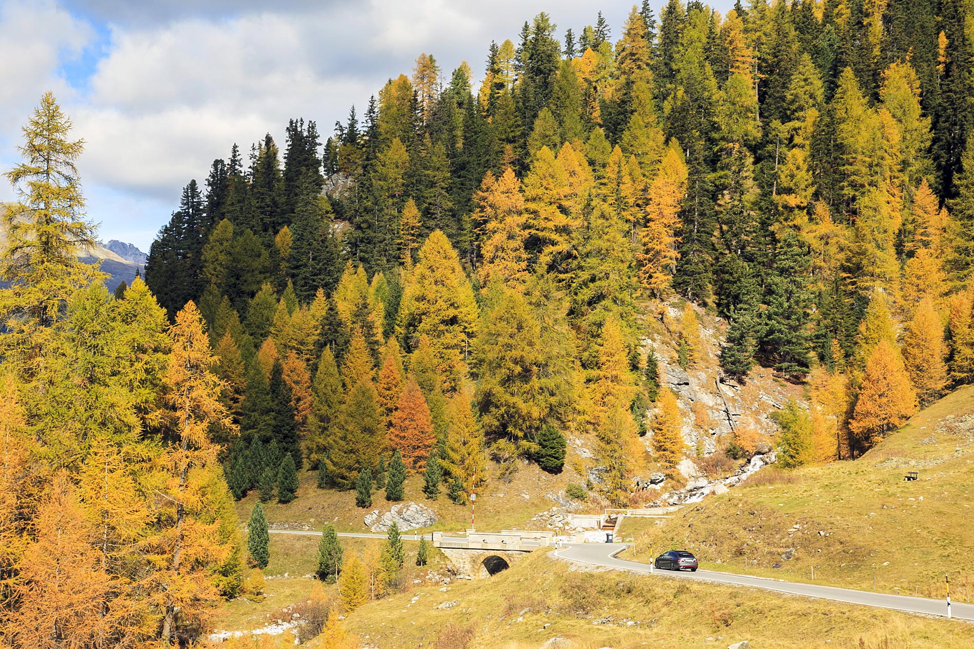 Stelvio Pass